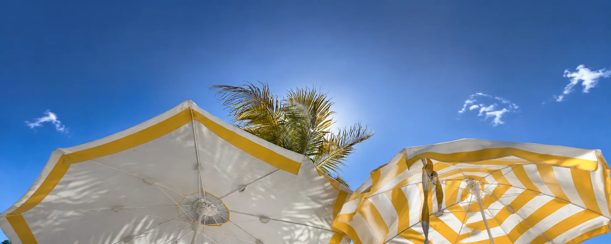 Yellow and white umbrellas beneath a blue Tamarindo sky
