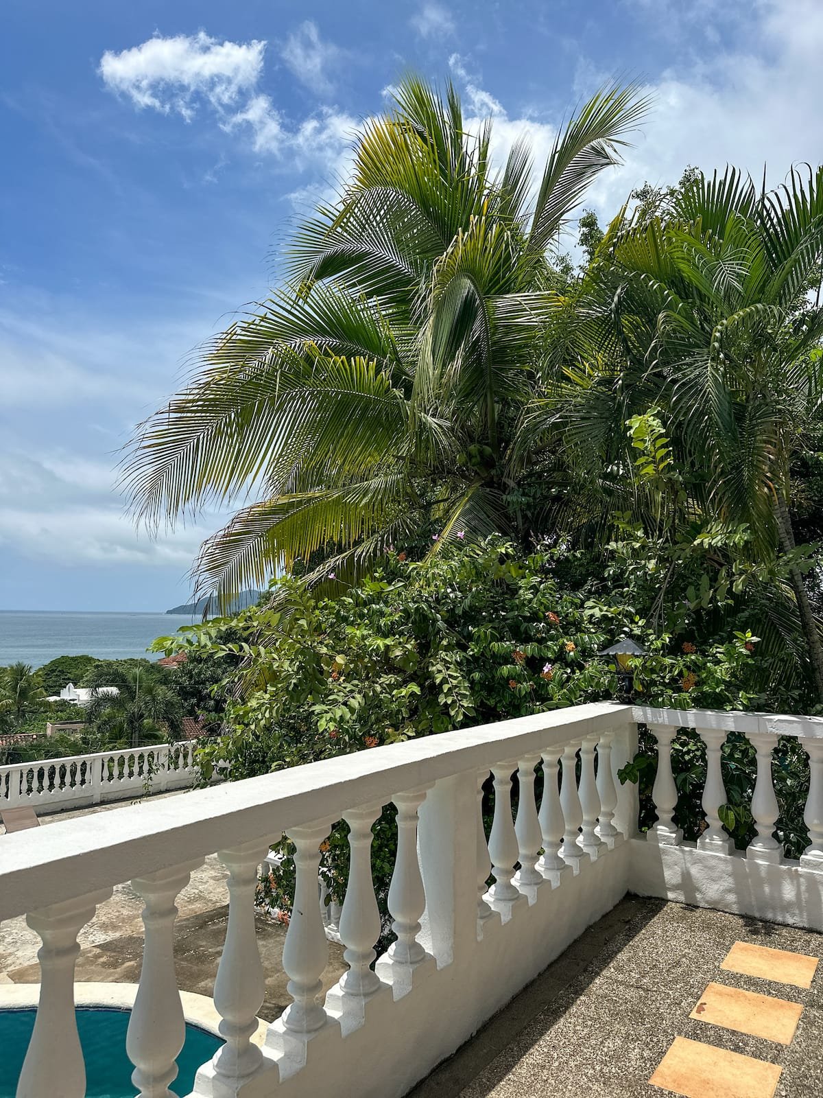 Private terrace surrounded by palms with a glimpse of the ocean