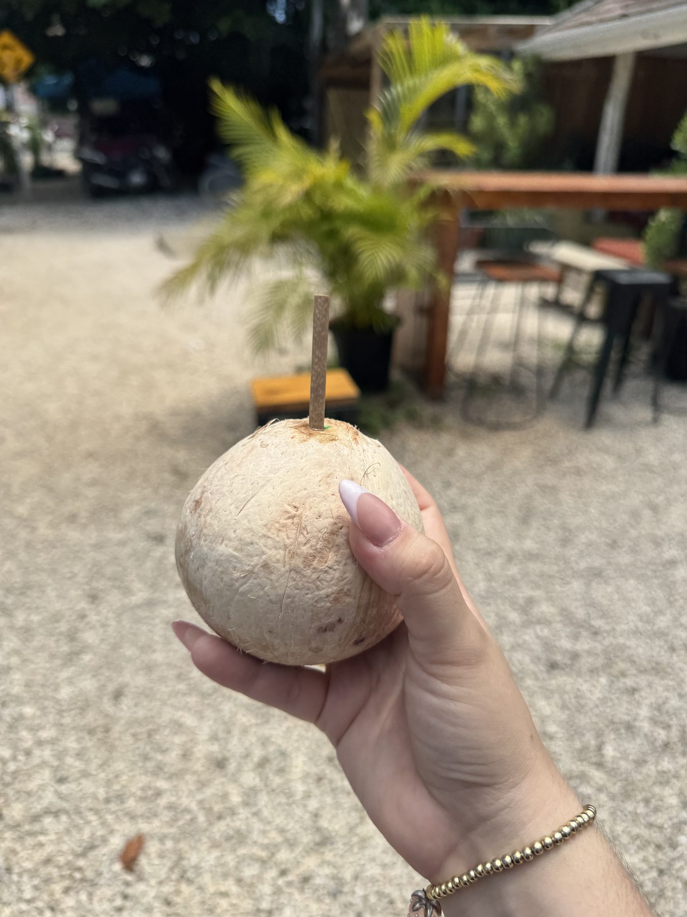 Fresh coconut enjoyed under the Costa Rican sun